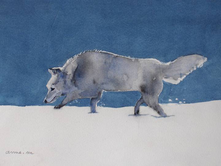 un loup de Valloire par Anne 